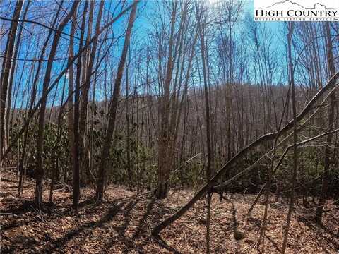 Lot 99 Beaver Dam Road, Elk Park, NC 28622