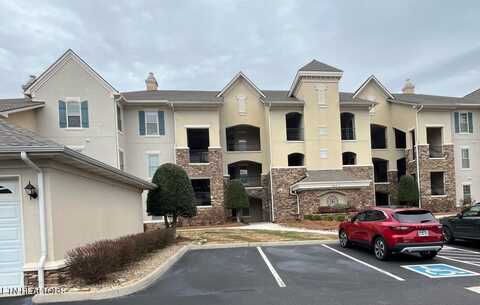 565 Rarity Bay Pkwy, Vonore, TN 37885