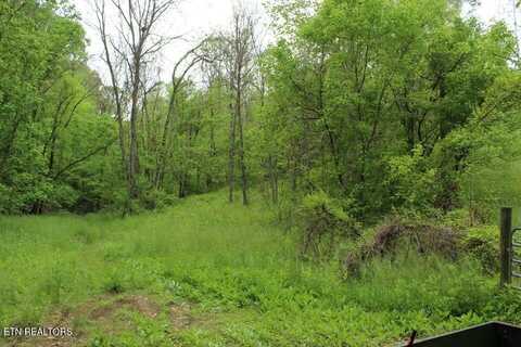 Leatherwood Rd, Sevierville, TN 37876