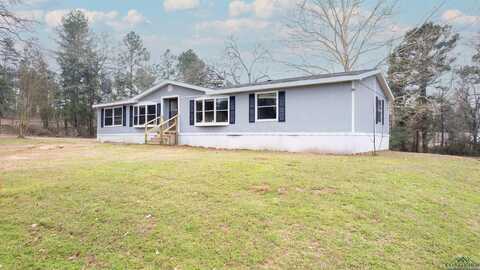 5315 County Road 4172D ,, Laneville, TX 75667