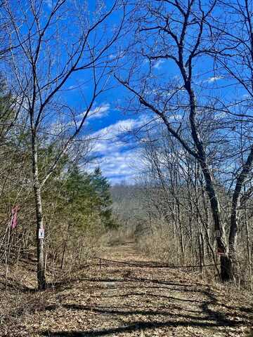 45ac Ridge Road, Flemingsburg, KY 41041
