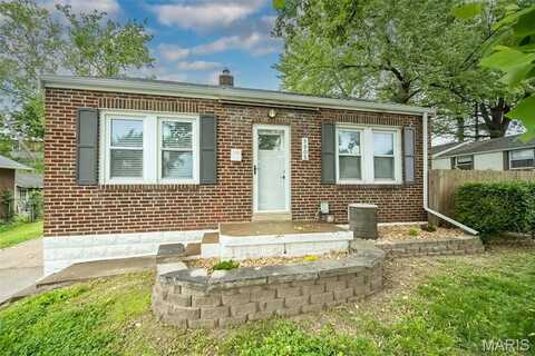 8805 Ivy Avenue, Saint Louis, MO 63123