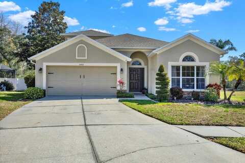 10910 MAY APPLE COURT, LAND O LAKES, FL 34638
