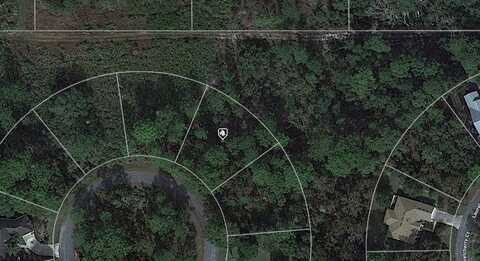 31 REBECCA COURT, HOMOSASSA, FL 34446