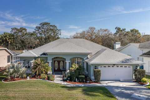 10407 AUDIE BROOK DRIVE, SPRING HILL, FL 34608