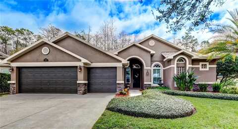 14115 LINCOLNSHIRE COURT, TAMPA, FL 33626