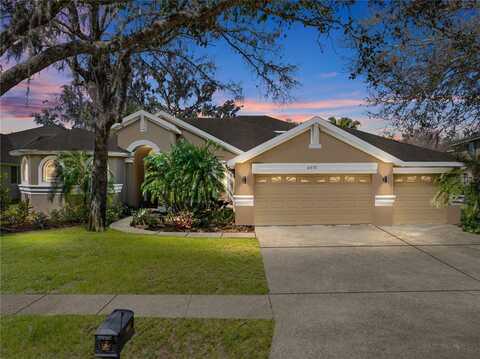 6107 IBISPARK DRIVE, LITHIA, FL 33547