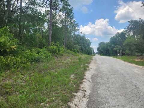 7143 ALLOY STREET, WEBSTER, FL 33597