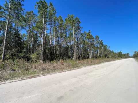 CHESSER HAMMOCK ROAD, PIERSON, FL 32180