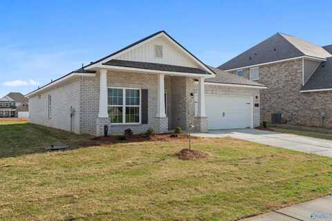 196 Beaver Brook Place, Toney, AL 35773