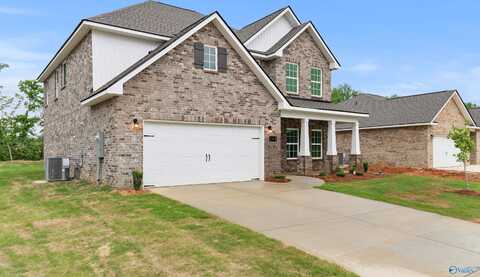 143 Ivy Vine Drive, Toney, AL 35773