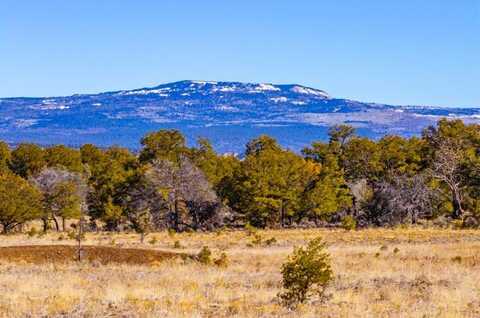 NSN Forest Road 131 C, Tierra Amarilla, NM 87551