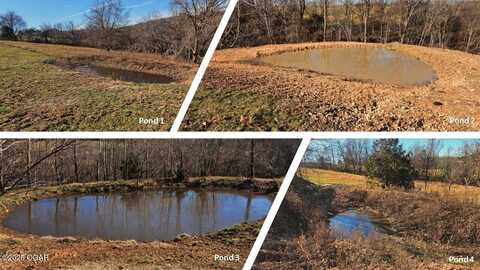 68.80 Acre Low Gap Road, Noel, MO 64854