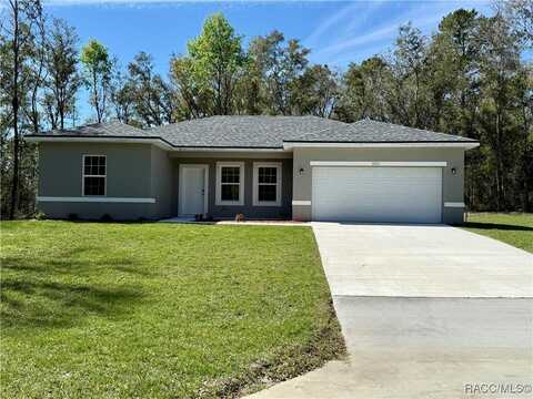 10616 N Didiscus Drive, Citrus Springs, FL 34434