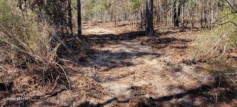 Lot 17 East Cypress Dr, Donalsonville, GA 39845