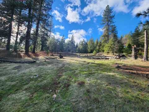 Manzanita Way, Pioneer, CA 95666