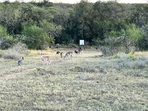 4582 Rockhill Road, Kenedy, TX 78119