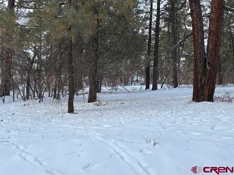 2932 Crooked Road, Pagosa Springs, CO 81147