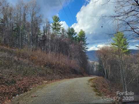 125 Lasso Lane, Waynesville, NC 28785
