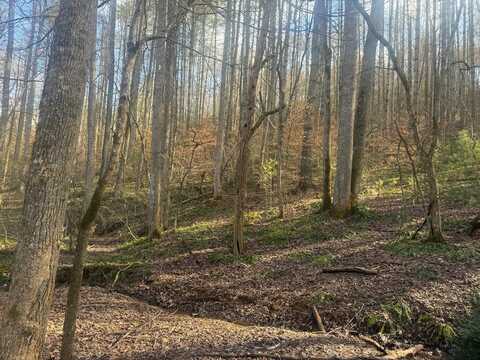 Wide Horizon Dr, Franklin, NC 28734