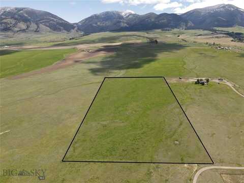 Tbd Brown Pony, Belgrade, MT 59714