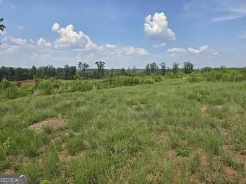 0 Faulkner, Monticello, GA 31064