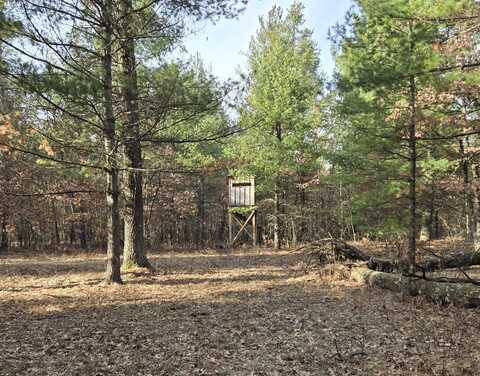V/L E 44th, Idlewild, MI 49642