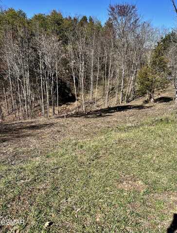 2009 Scott Street, Sevierville, TN 37876
