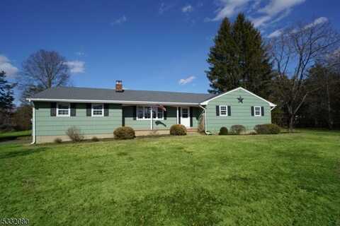 3 Cedar Rd, Readington, NJ 08889