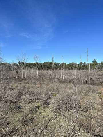 TBD AN CR 346 (Neches ISD), Palestine, TX 75803