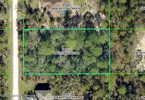 Lot 4 NUTCRACKER Road, Weeki Wachee, FL 34614