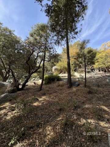 53642 Jeffrey Pine Rd, Idyllwild, CA 92549