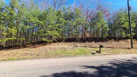 223 Burning Oaks Drive, Sevierville, TN 37876
