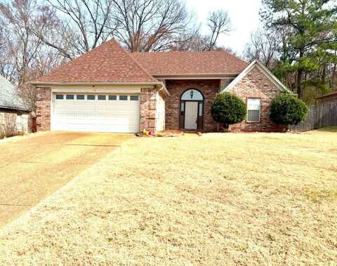 175 VILLAGE, Oakland, TN 38060