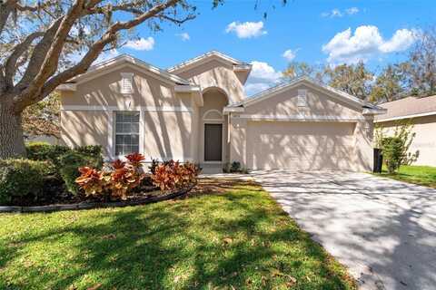 3021 GEM LUSTER COURT, VALRICO, FL 33594