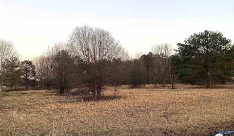 1.50 Acres Low Gap Road, Gurley, AL 35748