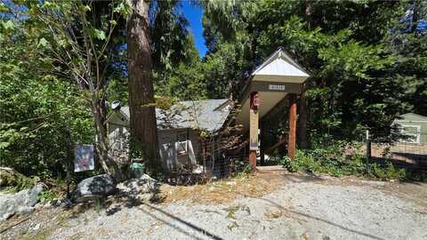 41414 Valley Of The Falls Drive, Forest Falls, CA 92339