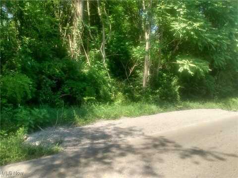 36700 Butcher Road, Salem, OH 44460