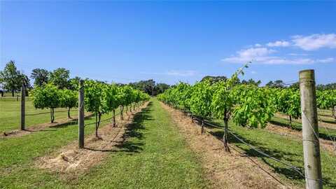 5518 STATE HIGHWAY 198, Canton, TX 75103