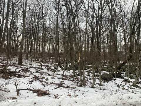 Lot 16 Cedar Ridge Lane, Hawley, PA 18428