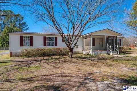 3929 Maiden Down Rd., Marion, SC 29571