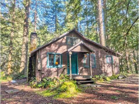 77311 E ROAD 31 Lot 61, Rhododendron, OR 97049