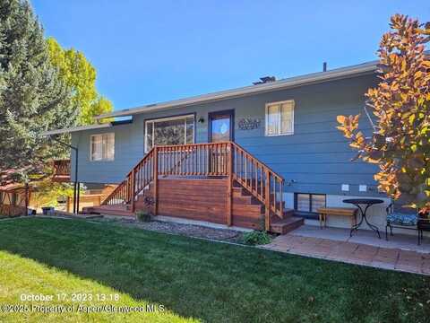 1133 Red Mountain Drive, Glenwood Springs, CO 81601