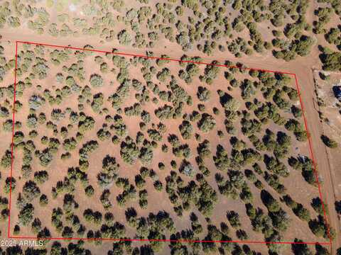 9341 COUGAR Lane, Show Low, AZ 85901