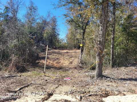 Lot 8 NW Womble Road, Altha, FL 32421