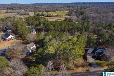 0 SCENIC TRAIL, ONEONTA, AL 35121