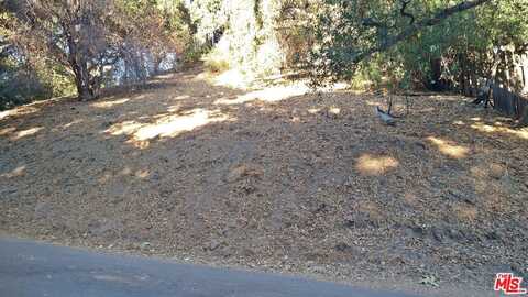 12300 SPRING Trl, Sylmar, CA 91342