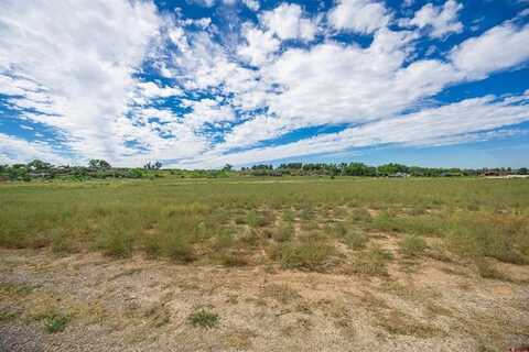 TBD 6353 Road, Montrose, CO 81403