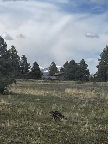 317 Domicile Circle, Pagosa Springs, CO 81147