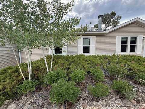 29501 P50 Road, Hotchkiss, CO 81419